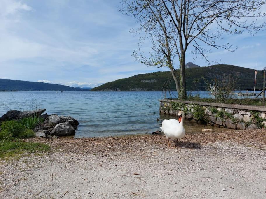 Charmant Et Spacieux Appartement A Quelques Pas Du Lac 뒤엥 외부 사진