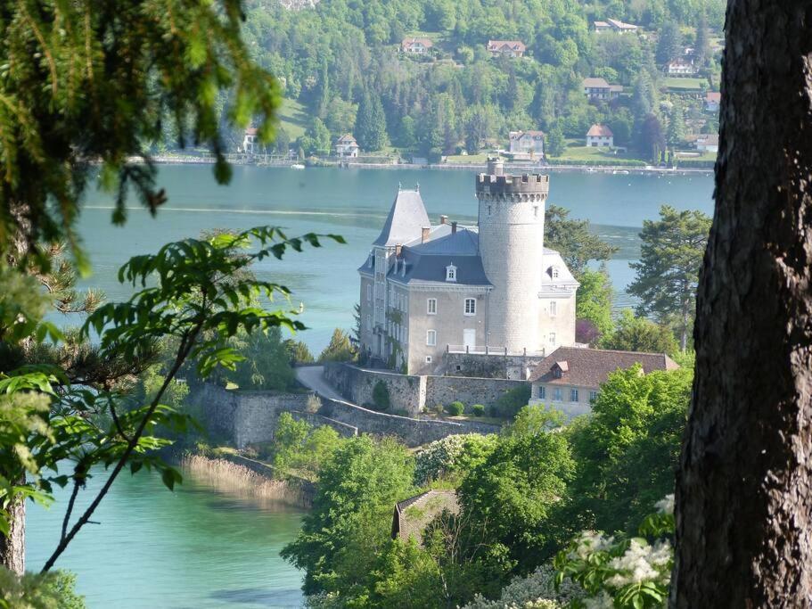 Charmant Et Spacieux Appartement A Quelques Pas Du Lac 뒤엥 외부 사진